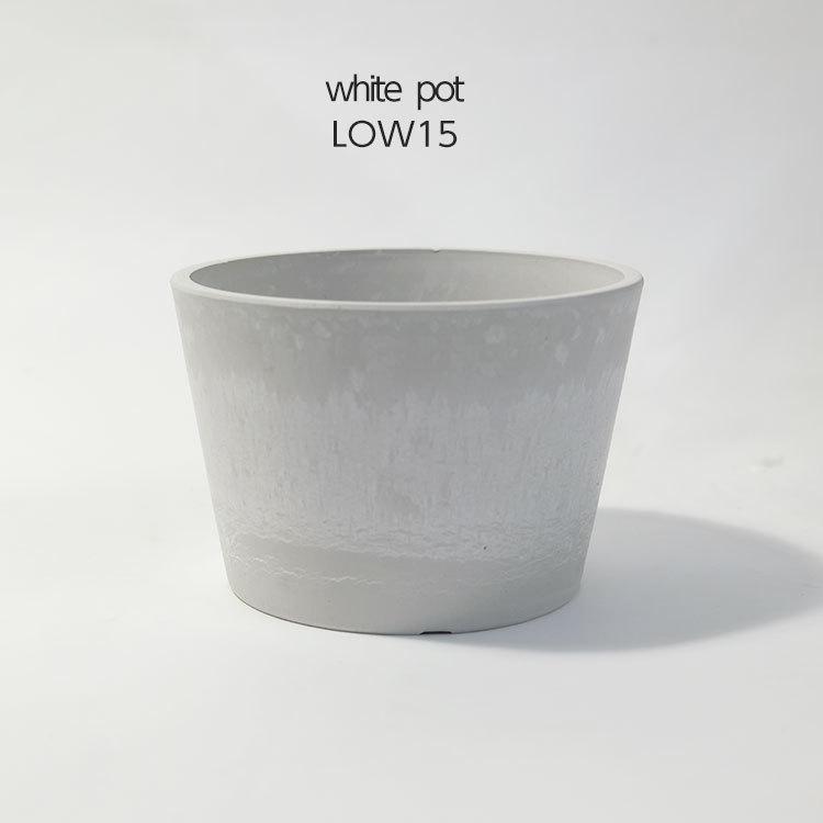 プラ鉢 ホワイトポット ロータイプ15 サボテン 頑丈 おしゃれ 塊根植物 多肉 黒プラスチック鉢 コーデックス O Bkpot15w ガーデニング日和 通販 Yahoo ショッピング