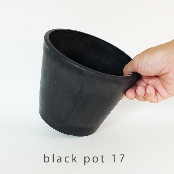 BLACk 植木鉢 植木鉢 ブラックポット17 black plastic pot 頑丈 おしゃれ 塊根植物