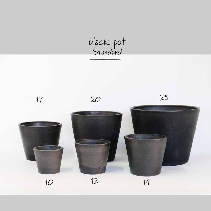 植木鉢 ブラックポット17 black plastic pot 頑丈 おしゃれ 塊根植物
