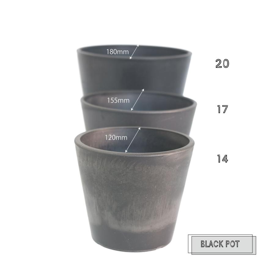 植木鉢 ブラックポット17 black plastic pot 頑丈 おしゃれ 塊根植物