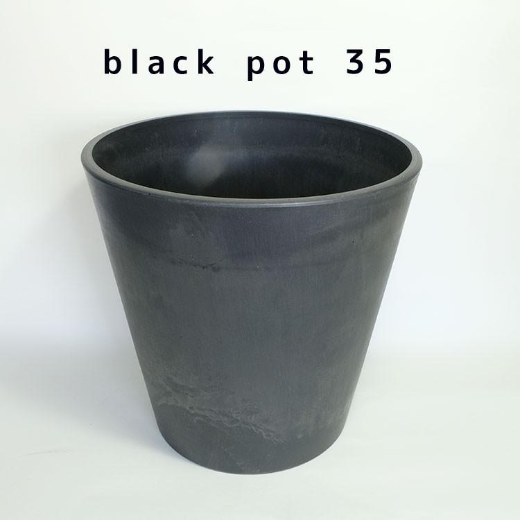 植木鉢 ブラックポット35 black plastic pot｜biyori