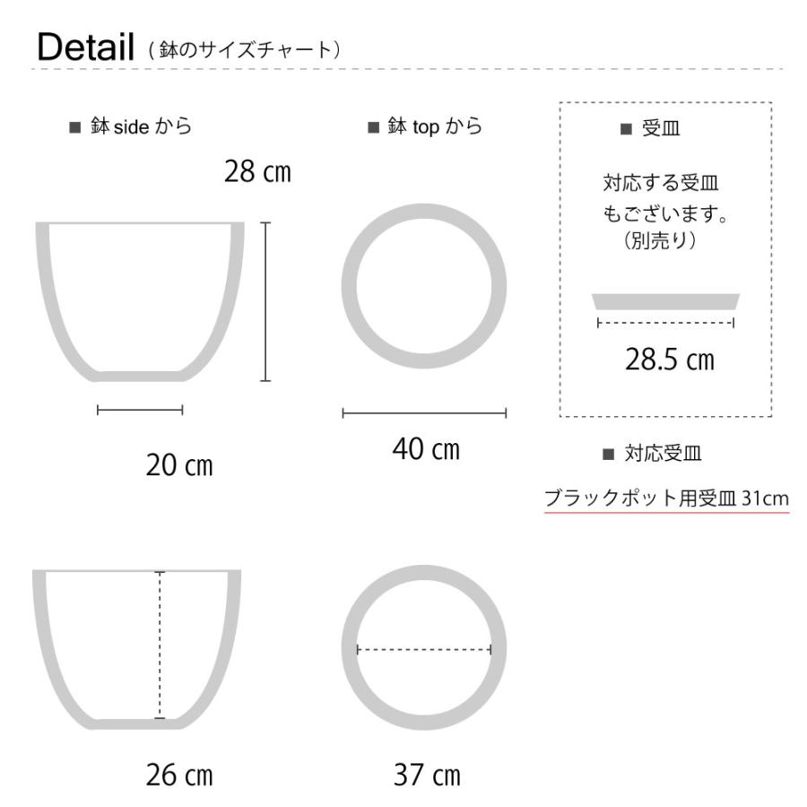 bowl 40 植木鉢 プラ鉢 ブラックポット サボテン 頑丈 おしゃれ 塊根植物 多肉 黒プラスチック鉢 白 灰 black plastic pot 径40cm 高さ28cm_4