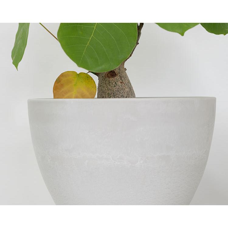 bowl 40 植木鉢 プラ鉢 ブラックポット サボテン 頑丈 おしゃれ 塊根植物 多肉 黒プラスチック鉢 白 灰 black plastic pot 径40cm 高さ28cm_3