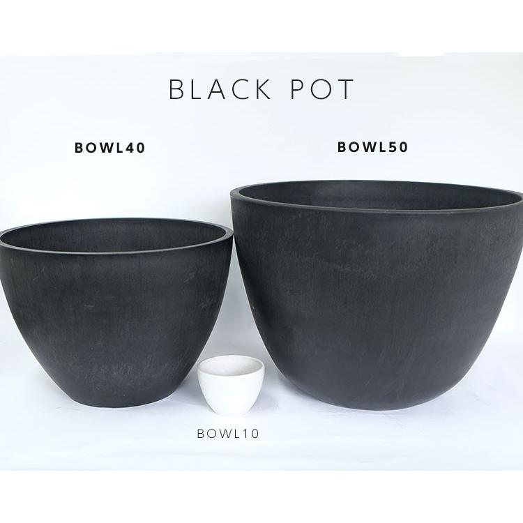 特別セール bowl50 黒プラ鉢 ブラックポット ホワイト グレー サボテン 頑丈 おしゃれ 塊根植物 多肉 メダカ 睡蓮鉢