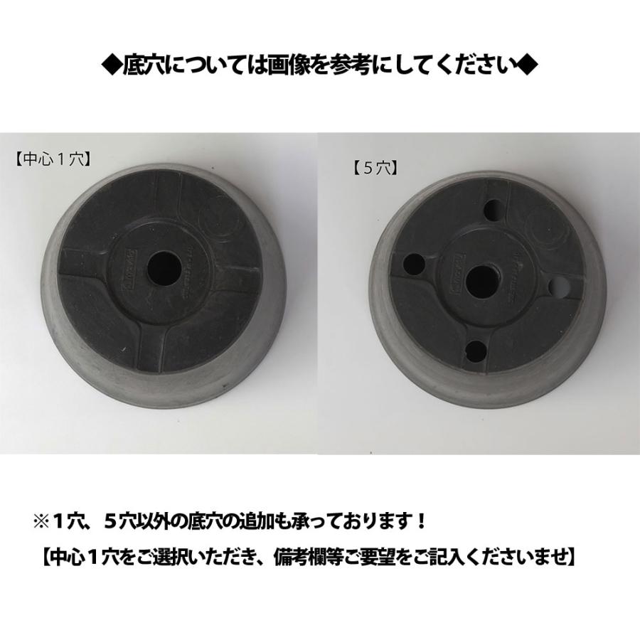 塊根植物 生育中 黒鉢付きコーデックス 塊根植物（コーデックス）の育て方｜魅力や栽培のコツ、おすすめ品種15