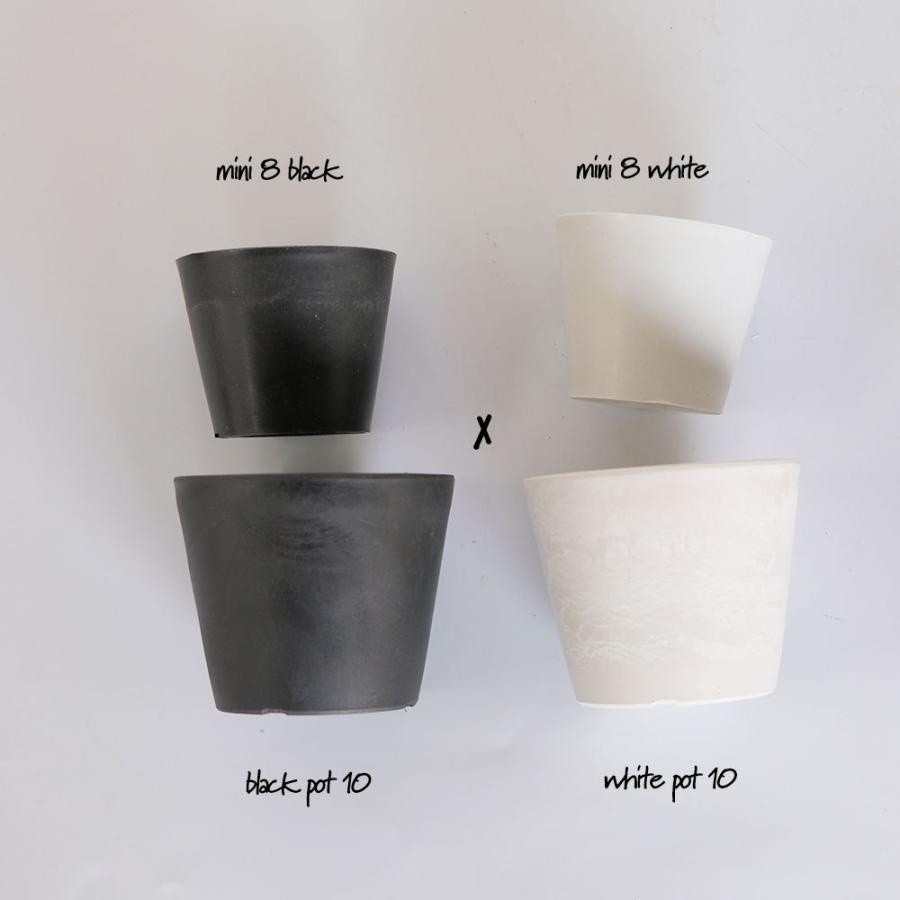 送料無料 植木鉢 おしゃれ 軽い プラポット Mini 8 サボテン 頑丈 塊根植物 多肉 黒プラスチック鉢 コーデックス Aynaelda Com