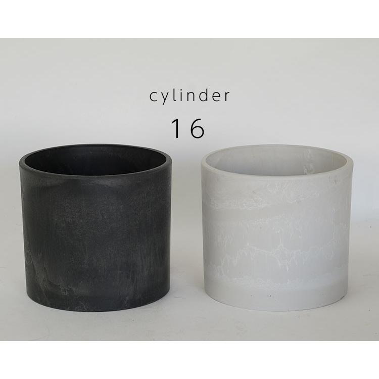 ブラックポット シリンダー16 サボテン 頑丈 おしゃれ 塊根植物多肉 黒