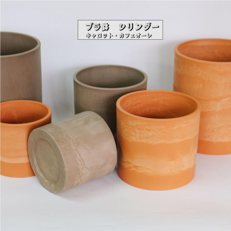 プラ鉢 シリンダーポット16-23 キャロット・カフェオレ プラスチック鉢