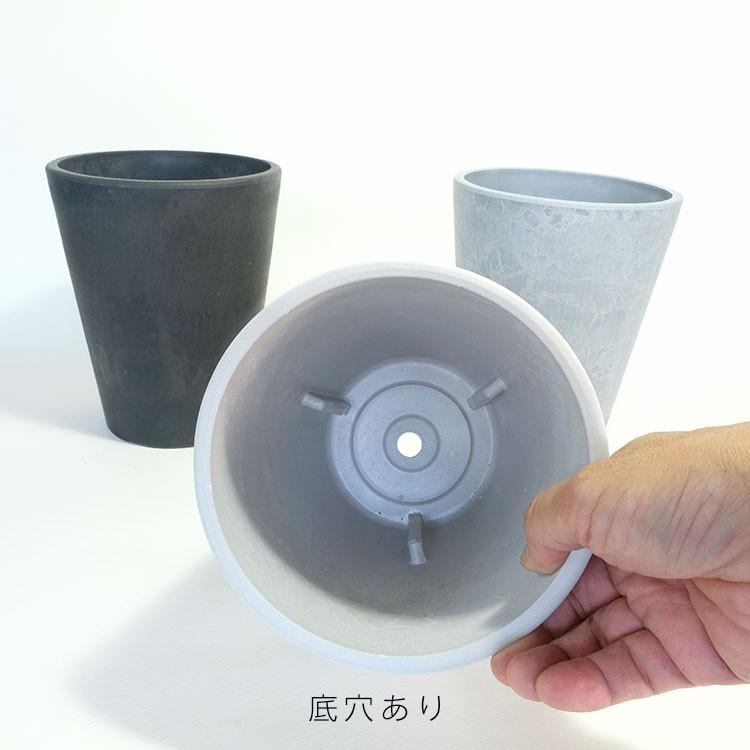 植木鉢 プラポット トール15 頑丈 塊根植物 多肉 径15cm 高さ19cm 深鉢