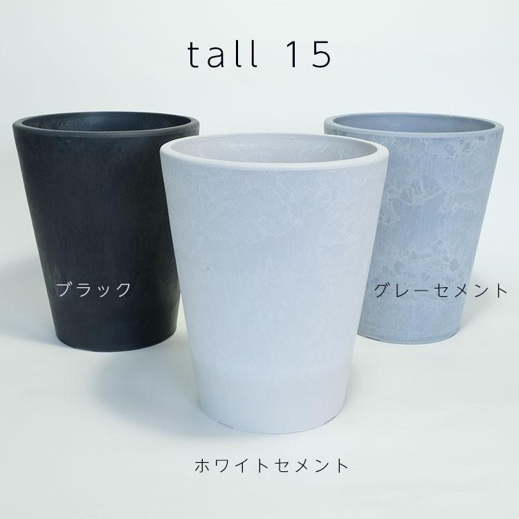 植木鉢 プラポット トール15 頑丈 塊根植物 多肉 径15cm 高さ19cm 深鉢