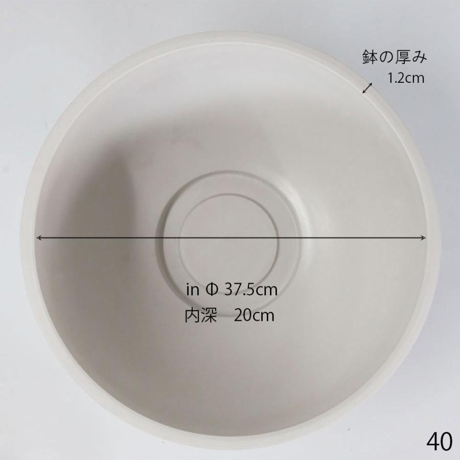 植木鉢 ホワイトポット タフbowl 40 サボテン 頑丈 睡蓮鉢 塊根植物
