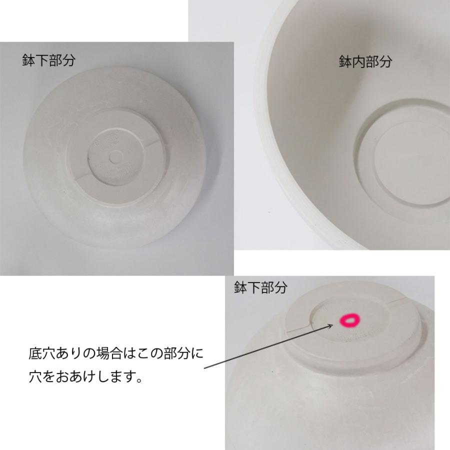 植木鉢 プラ鉢 ホワイトポット タフbowl 50 サボテン 頑丈おしゃれ