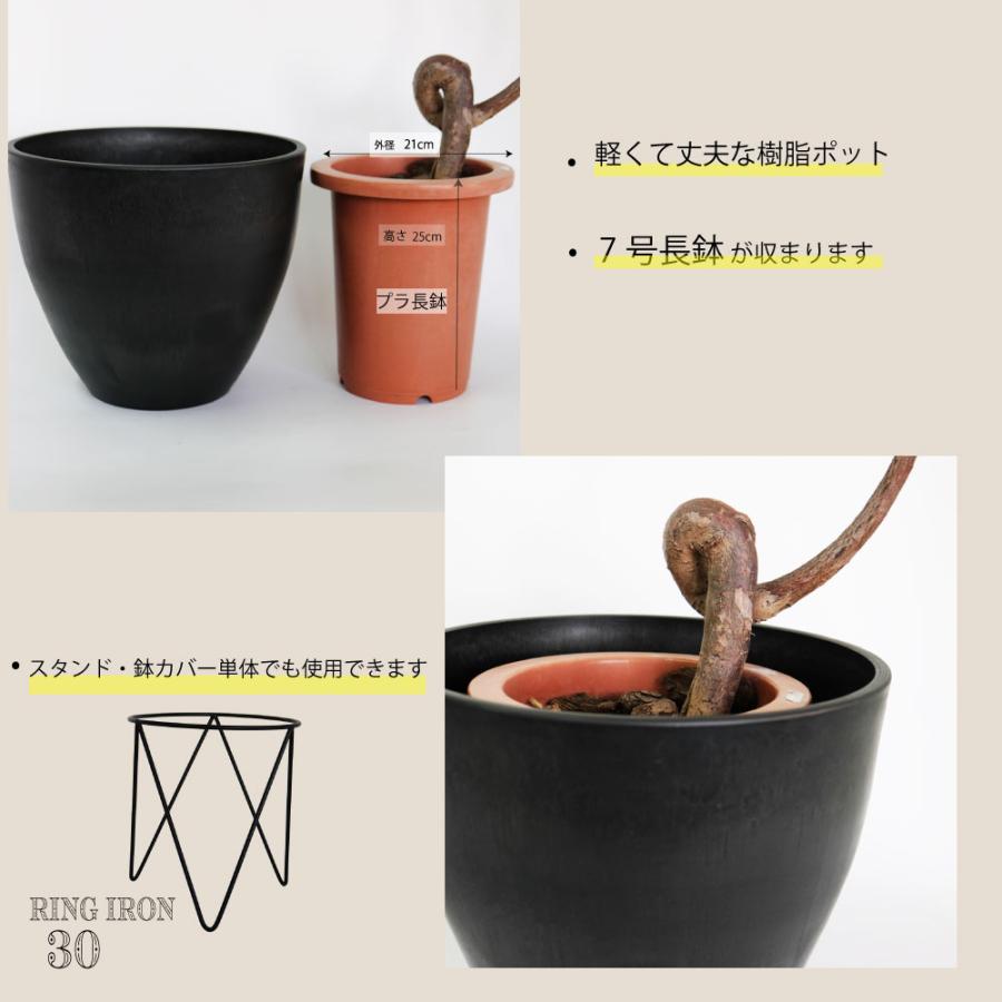 【Saba】【ロングローズスタンド】【鉢】3点セット 楽天市場】○【丸8号】ローズスタンド SR-B【Bells More