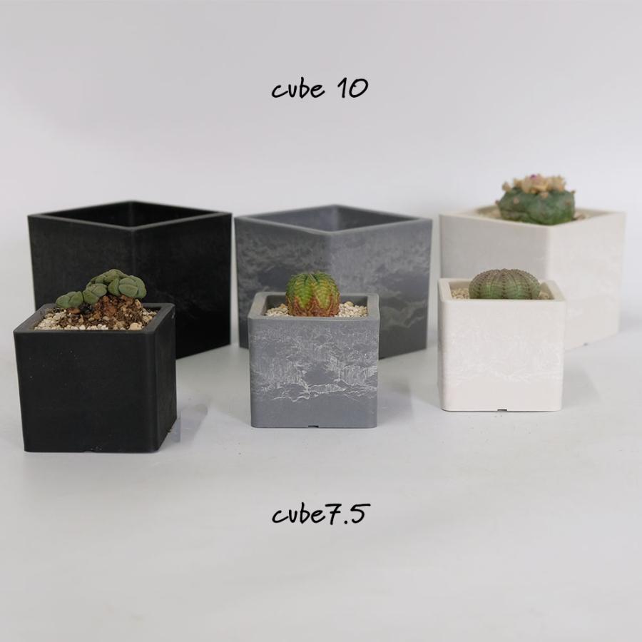 植木鉢 キューブM 10 頑丈 プラ鉢 角鉢 : ガーデニング日和 - 通販