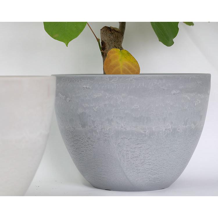 植木鉢 W G Bowl 50 サボテン 頑丈 おしゃれ 塊根植物 多肉 プラスチック鉢 メダカ O Gwpo50bw ガーデニング日和 通販 Yahoo ショッピング