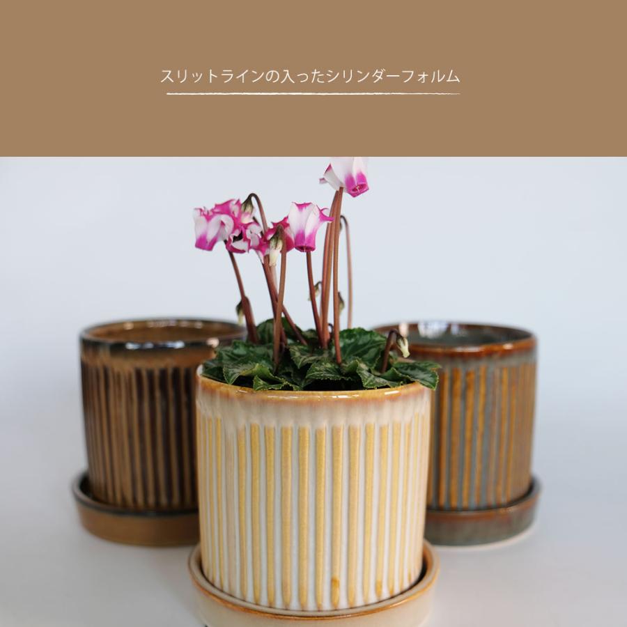＊新品＊未使用　鉢 陶器鉢 おしゃれ Raffinato Streak pot 底穴あり セラミック鉢 径10.5