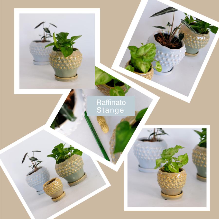陶器鉢 Raffinato Stange 【S径8cm 高7cm/L径13.5cm 高11cm】 受皿付