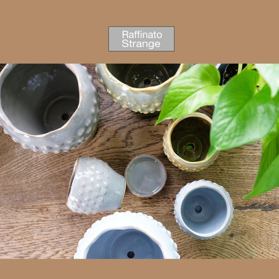 陶器鉢 Raffinato Stange 【S径8cm 高7cm/L径13.5cm 高11cm】 受皿付