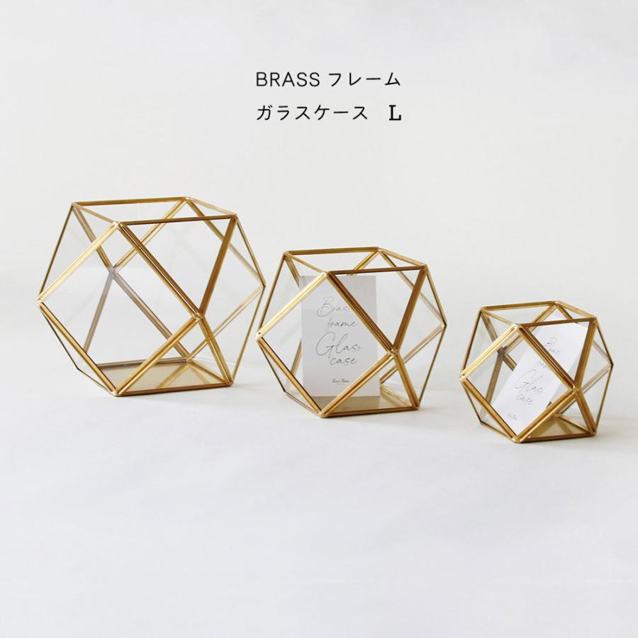 BRASSフレーム ガラスケースL ガーデニング エアプランツ