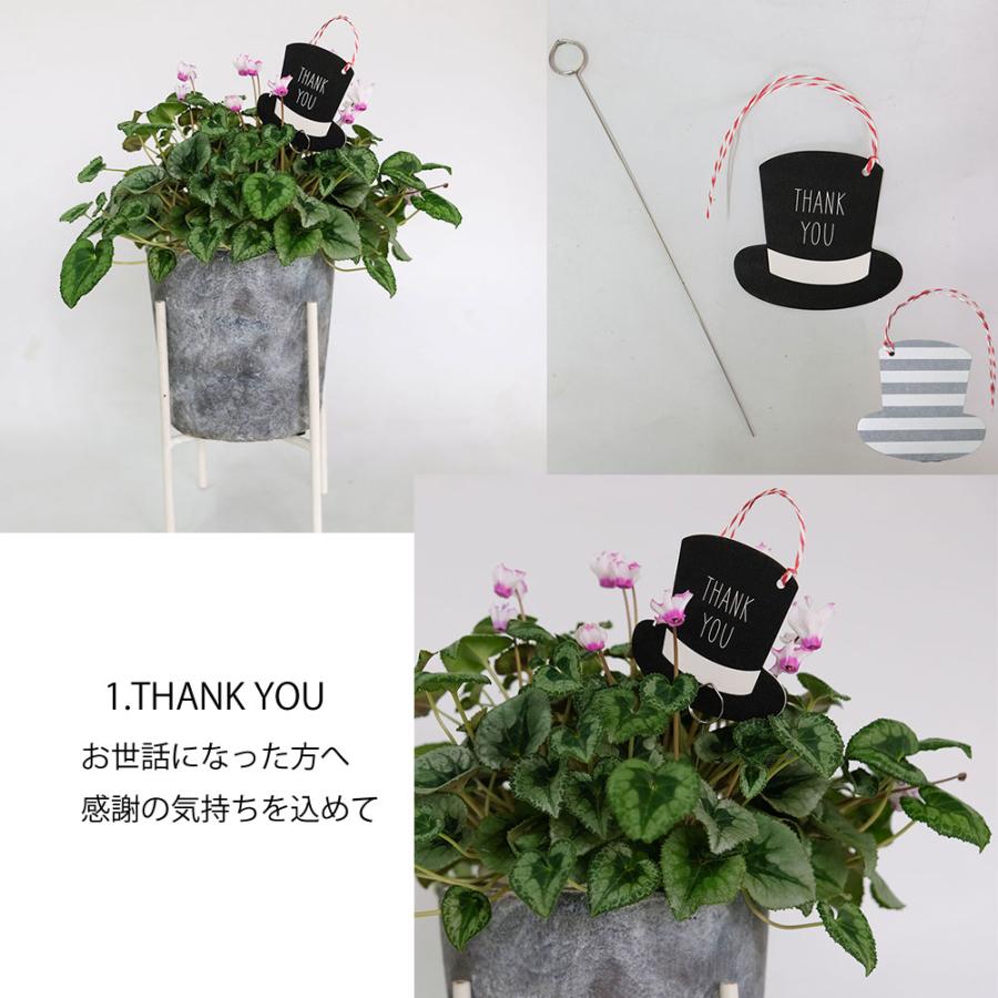 5000円以上で購入可能】カードスタンドピック 贈り物 誕生日 感謝を