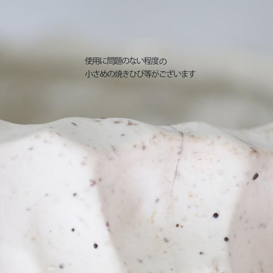 植木鉢 white Bumpy pot 陶器 おしゃれ 径16cm 高14.5cm 底穴あり セラミックポット : ガーデニング日和 - 通販 ...