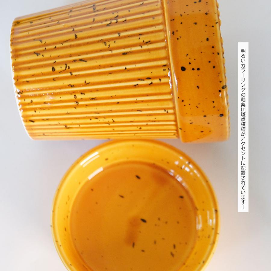 陶器鉢 Kaunis Standard 受皿付 底穴あり セラミック鉢 トロンコ
