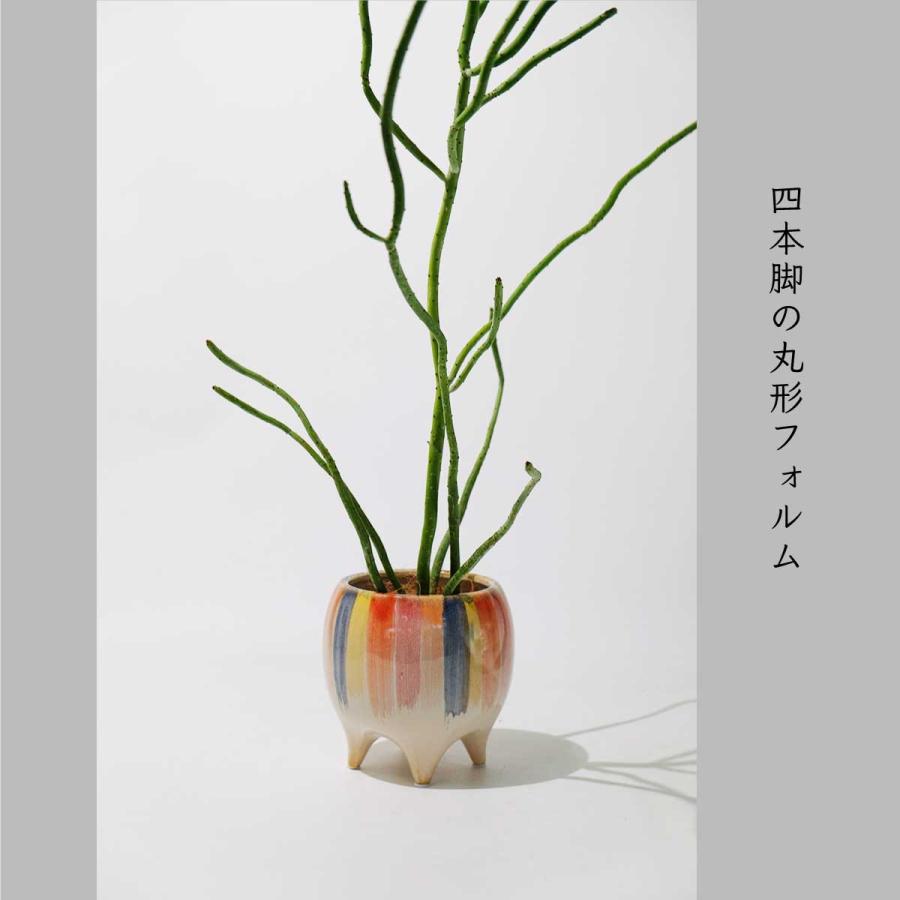 パステルストライプ陶器植木鉢 楽天市場】ストライプ（植木鉢｜植木鉢・プランター）：ガーデニング
