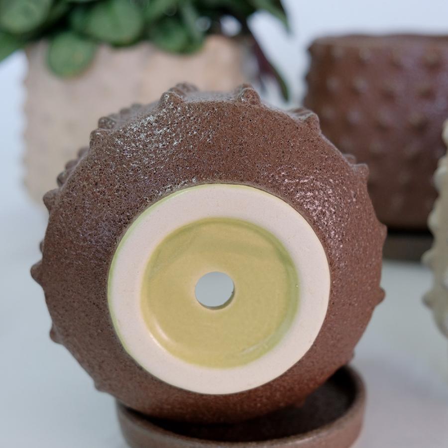 植木鉢 陶器 おしゃれ セイレンス 受皿付 4号から5号 ネイビー