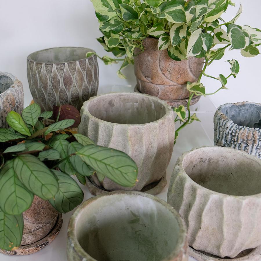 植木鉢 おしゃれ 石材調 ごつごつ 岩肌 Peculiar 受皿付 径13.5-14.5cm