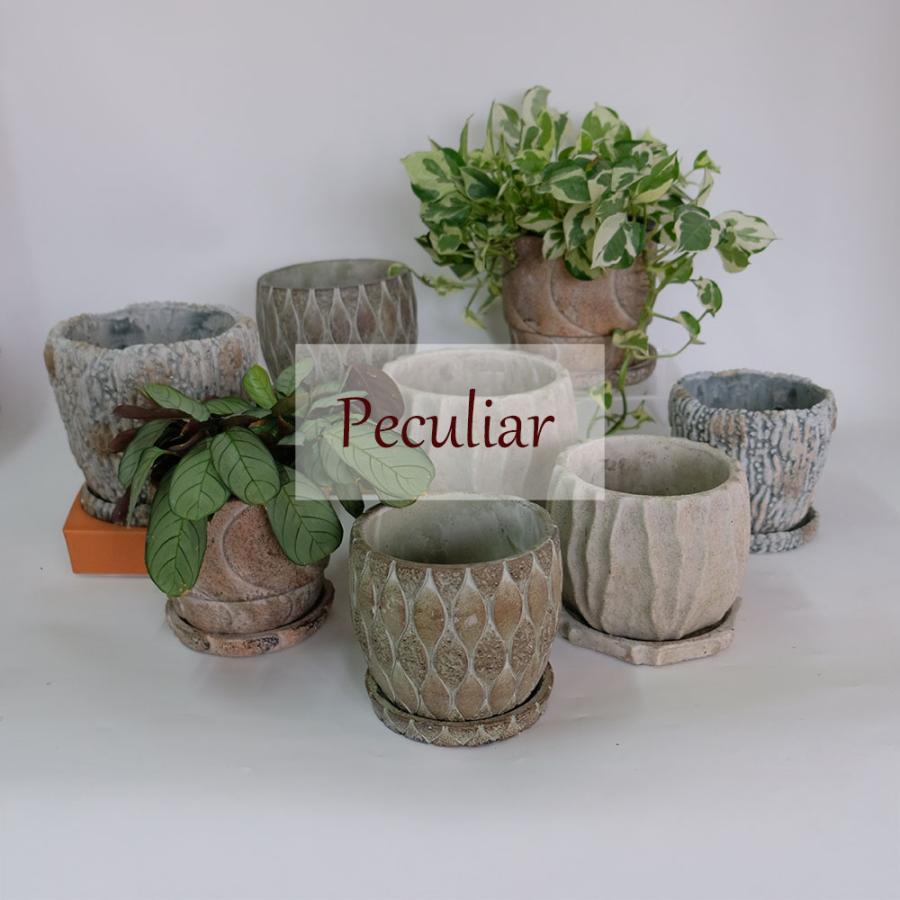 植木鉢 おしゃれ 石材調 ごつごつ 岩肌 Peculiar 受皿付 径13.5-14.5cm 