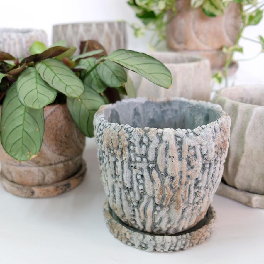 植木鉢 おしゃれ 石材調 ごつごつ 岩肌 Peculiar 受皿付 径13.5-14.5cm