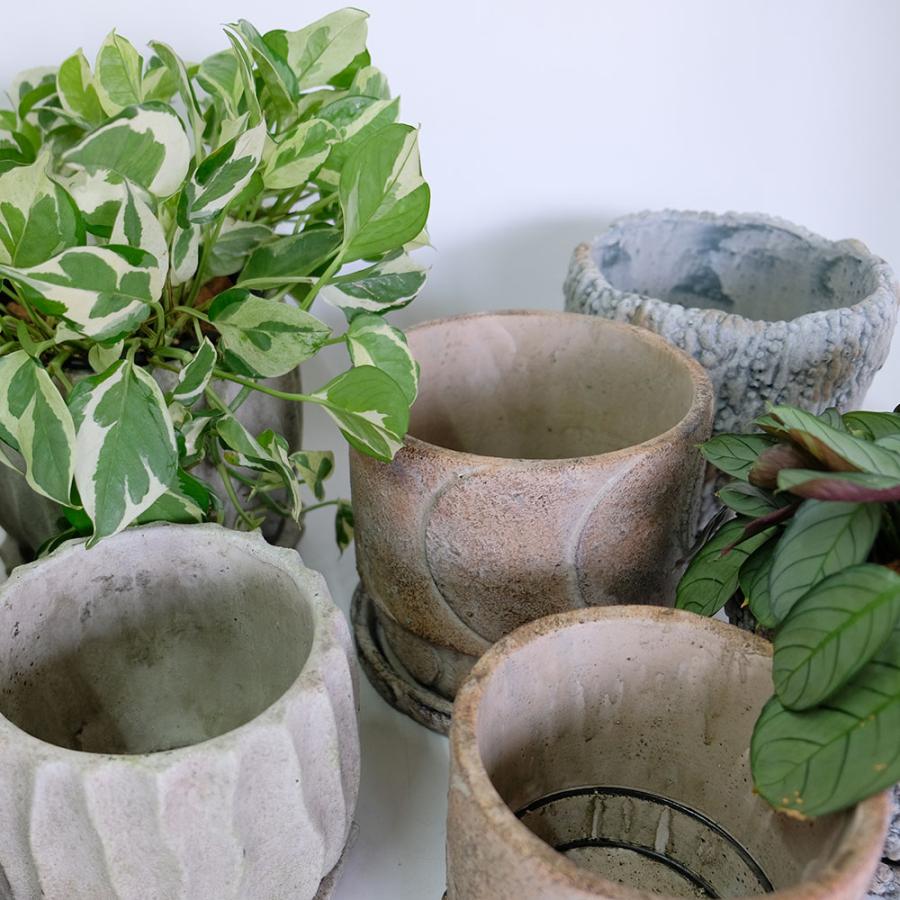 粋な鉢　岩肌風 陶器 植木鉢 鉢 龍聖造　多肉植物鉢　高さ11.5センチ 植木鉢 おしゃれ 石材調 ごつごつ 岩肌 Peculiar 受皿付 径13.5-14.5cm