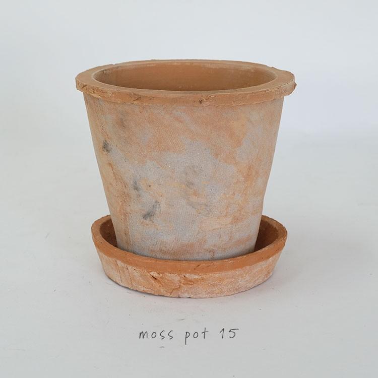 植木鉢 モスポット赤土5号 素焼き鉢 テラコッタ 受皿付 ジャビー Ya Mospak5 ガーデニング日和 通販 Yahoo ショッピング