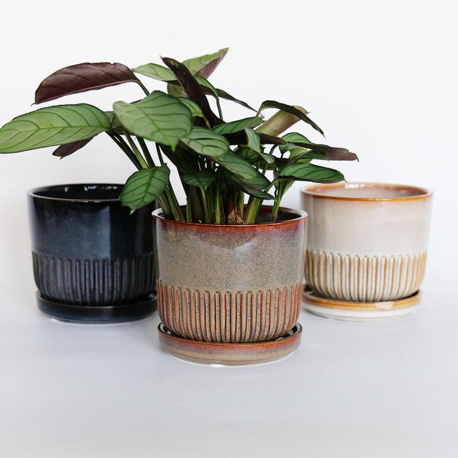 植木鉢 おしゃれ STREAK POT & SAUCER 12cm 4号 陶器鉢 受皿付 シック