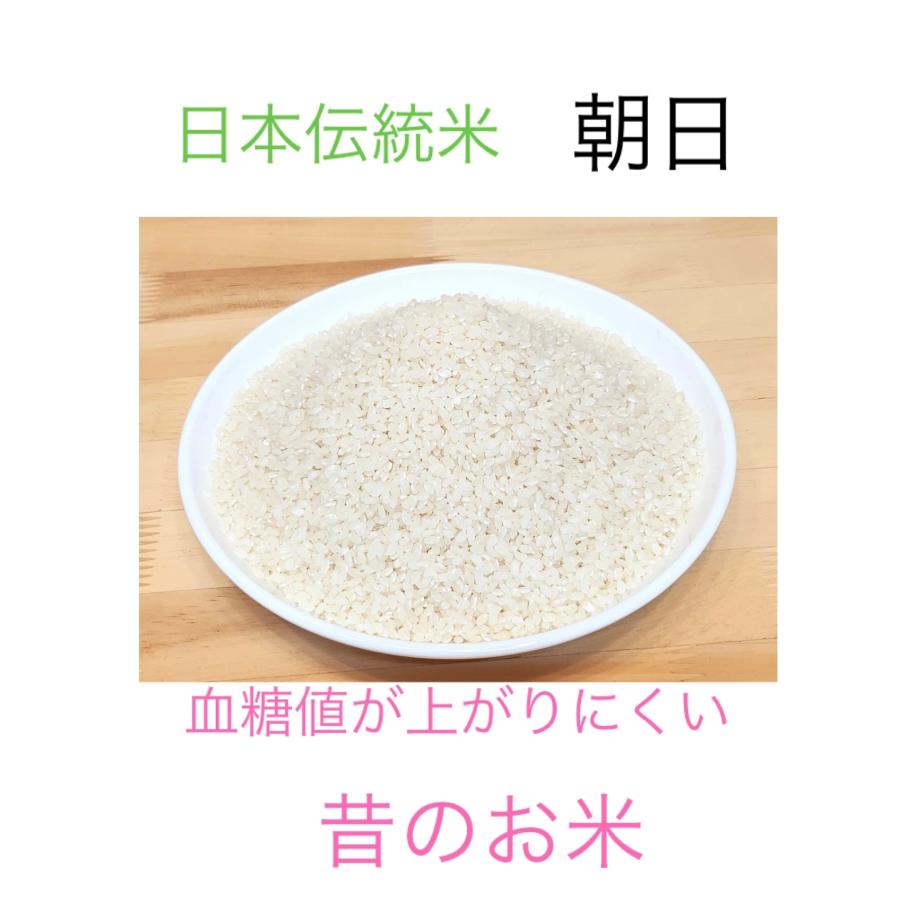 自然栽培 朝日米（白米5kg）香川県産 血糖値が上がりにくいお米 大正