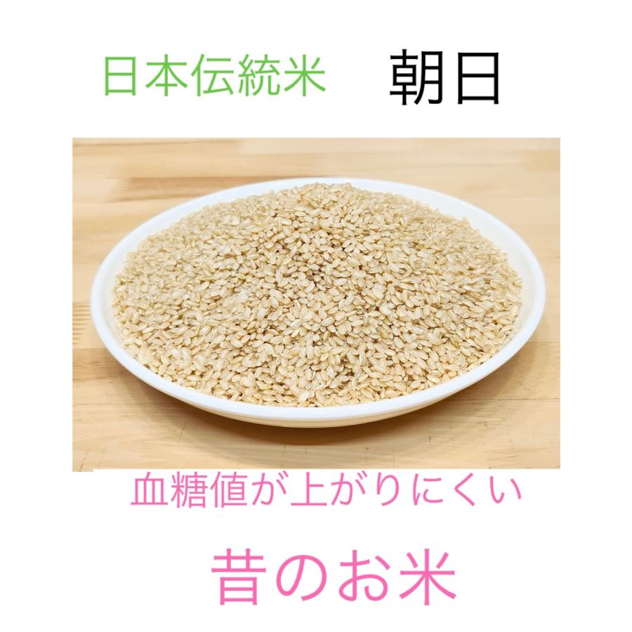 自然栽培 朝日米（玄米10kg）香川県産 血糖値が上がりにくいお米 大正