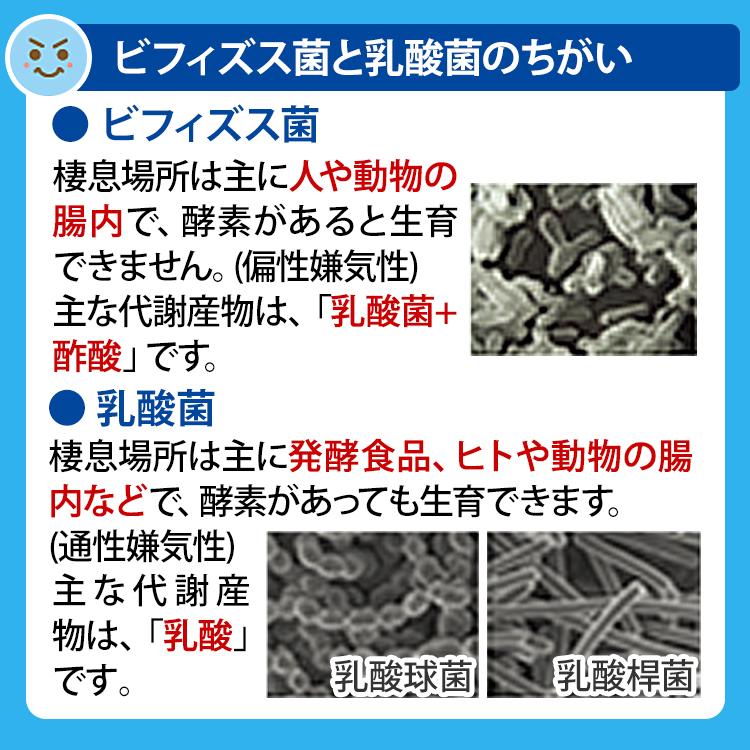 3本組セット - ビフィズス菌・乳酸菌サプリメント（60粒入り）腸内