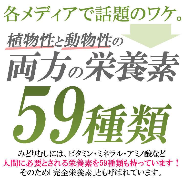バイオザイム 100粒（5本セット）正規品ミドリムシメーカー直卸サプリ