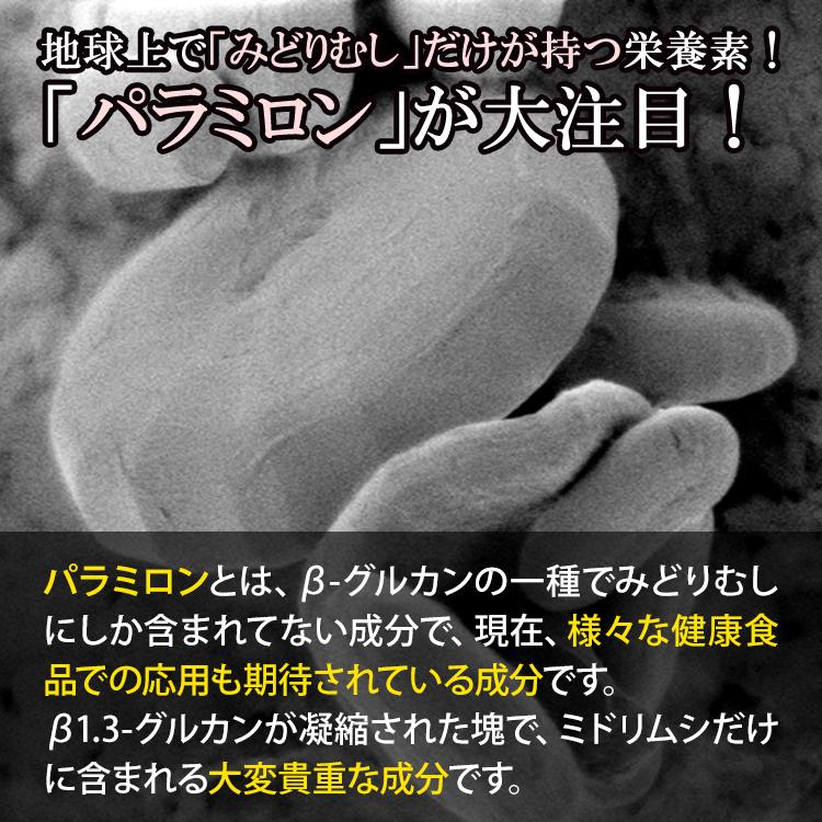 バイオザイム 100粒（5本セット）正規品ミドリムシメーカー直卸サプリ
