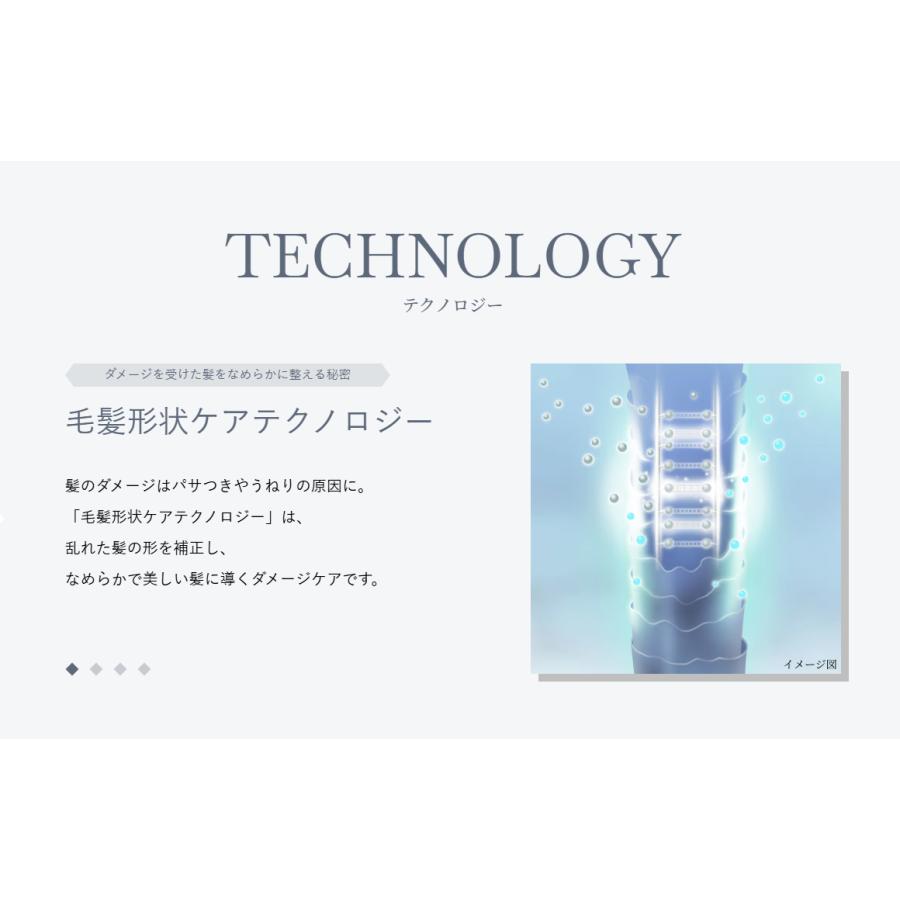 SUBLIMIC 資生堂 サブリミック アクアインテンシブ トリートメントD