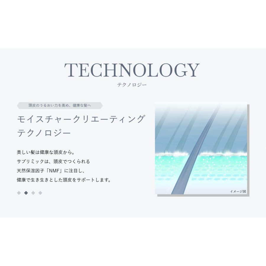 SUBLIMIC 資生堂 サブリミック アクアインテンシブ トリートメントD