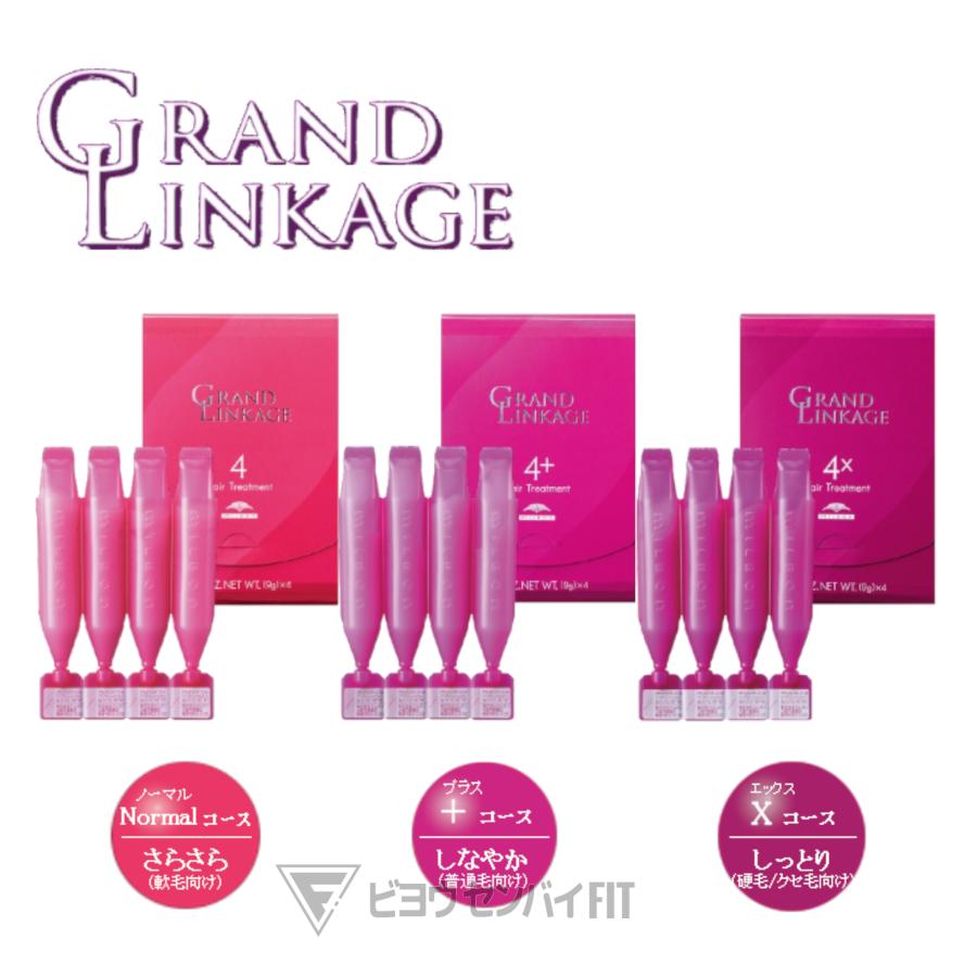 GRANDLINKAGE グランドリンケージ サロントリートメント 4+ 9g×4本