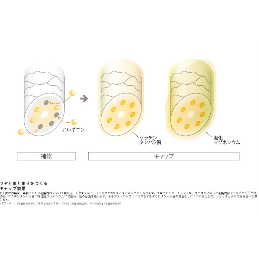 CRONNA クロナ トリートメント フォーカラードヘア 1800g : 美容専売