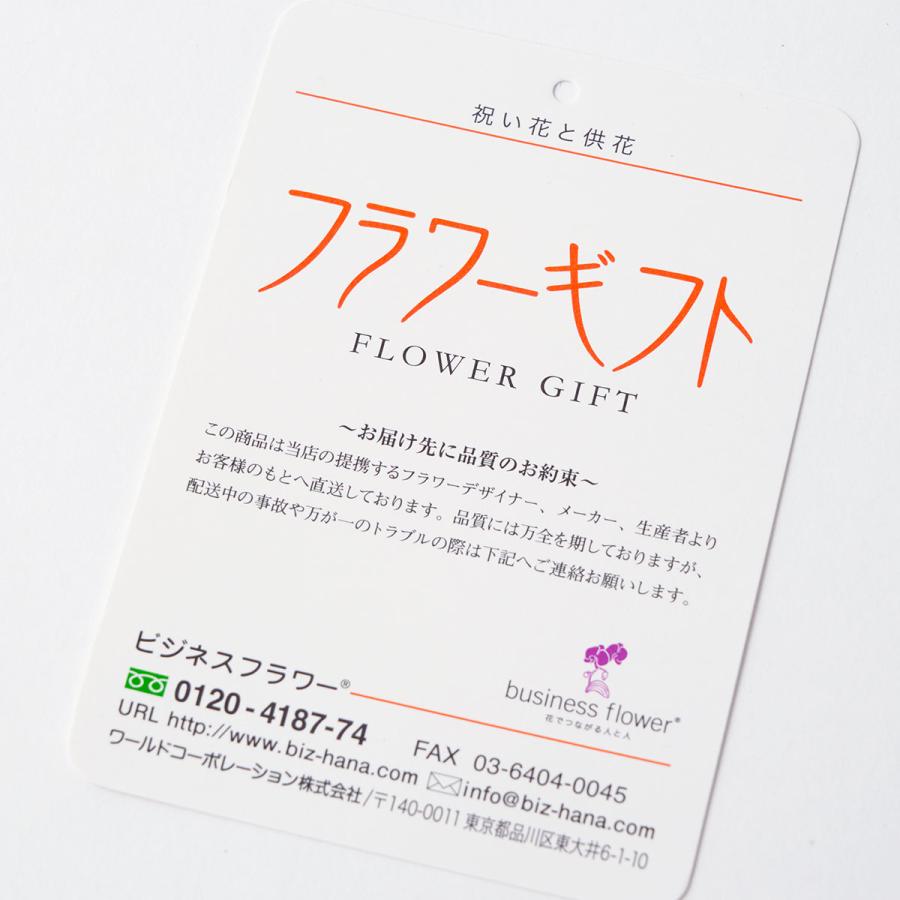 造花アート・観葉植物　ベンジャミンダブル1.8_2