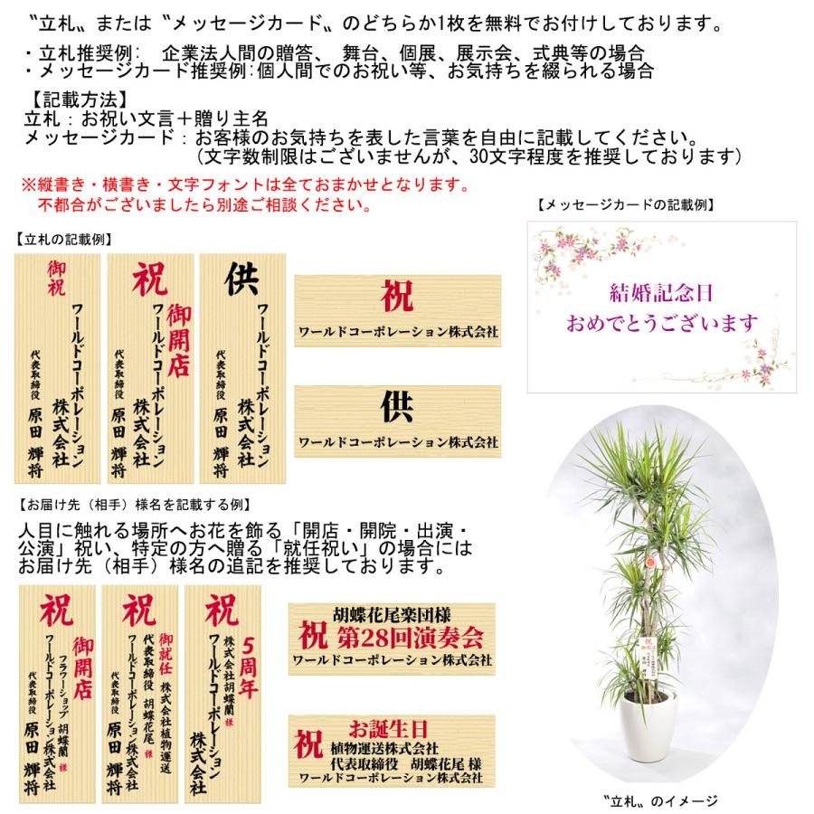 造花アート・観葉植物　ベンジャミンダブル1.8_3