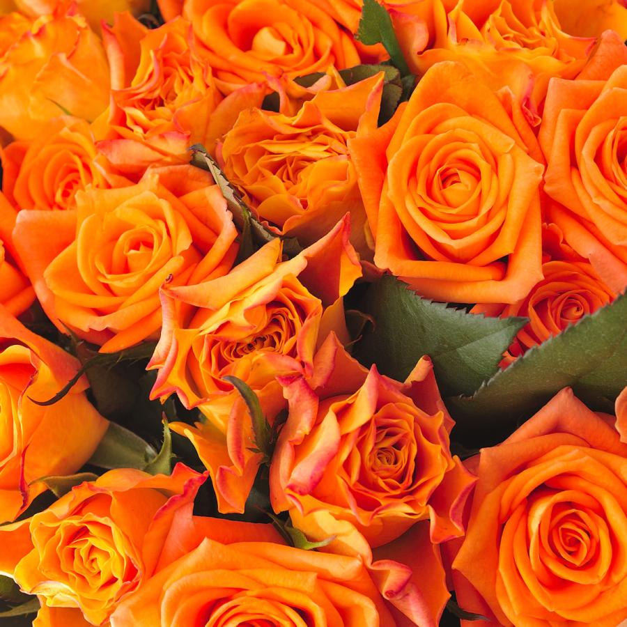 花瓶フラワー フラワーベース シリンダー クリア オレンジバラ30本 Fb54 Sp Gifts Yahoo 店 通販 Yahoo ショッピング