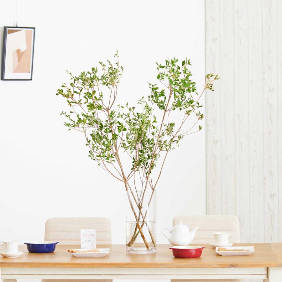 花瓶フラワー フラワーベース ドウダンツツジ シリンダー クリア Fb56 Sp Gifts Yahoo 店 通販 Yahoo ショッピング