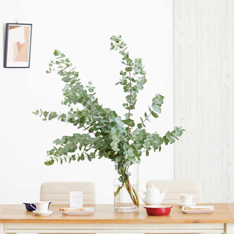 花瓶フラワー フラワーベース ユーカリ シリンダー クリア 楽ギフ のし宛書