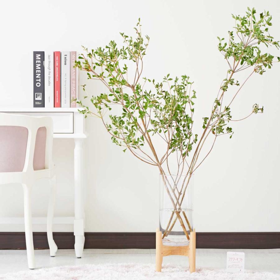 花瓶フラワー フラワーベース ドウダンツツジ 脚付きシリンダー クリア Fb62 Sp Gifts Yahoo 店 通販 Yahoo ショッピング