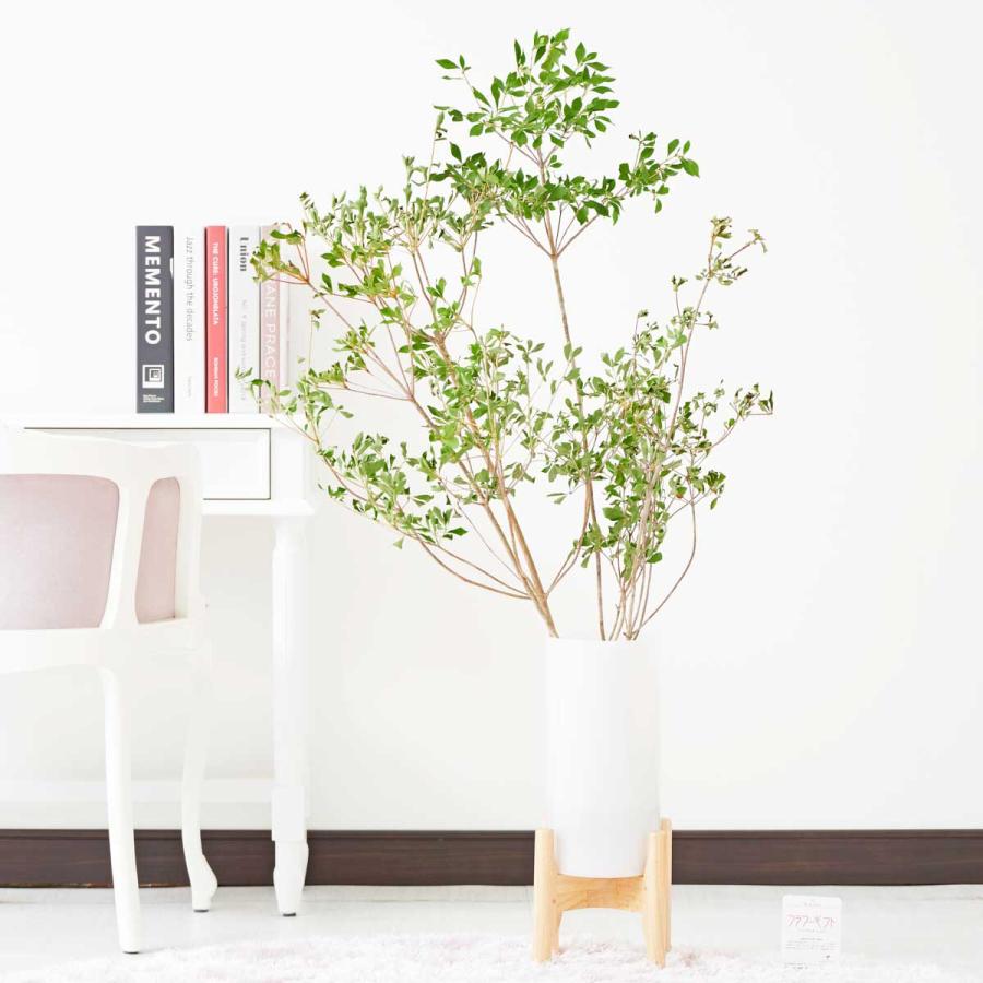 日本販売 花瓶フラワー フラワーベース ドウダンツツジ 脚付きシリンダー ホワイト ぴったり製品 Miracleleaffl Com